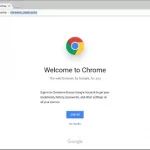 google chrome