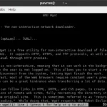 wget