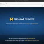 mullvad browser